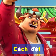 Cách đặt cược XSHP ngày 11