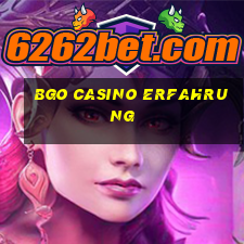 bgo casino erfahrung