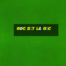 góc bẹt là gốc