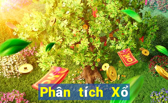 Phân tích Xổ Số TP Hồ Chí Minh ngày 1