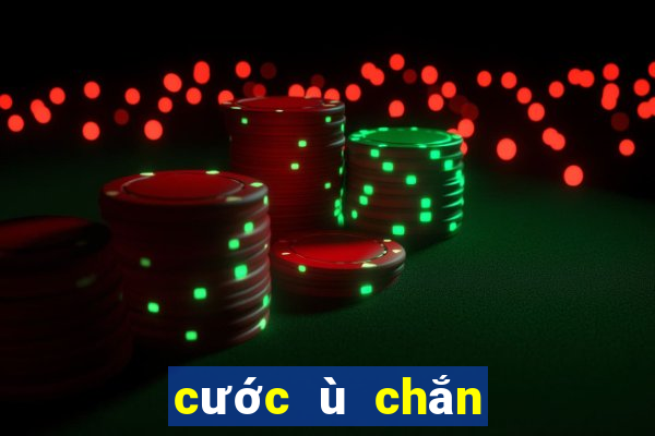 cước ù chắn ngũ ông bắt cá