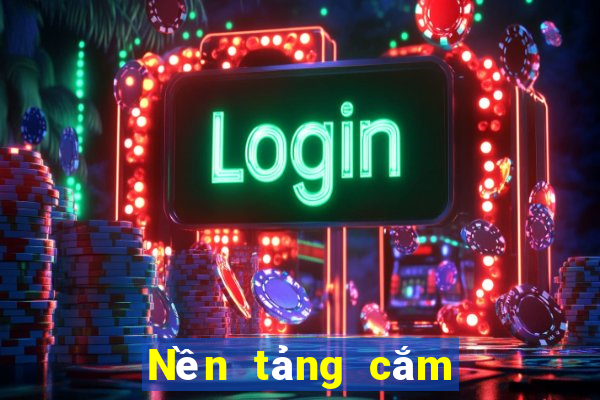 Nền tảng cắm trang web Việt nam