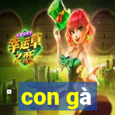 con gà