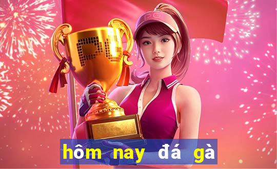 hôm nay đá gà màu gì ngon