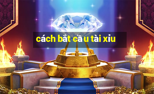 cách bắt cầu tài xỉu