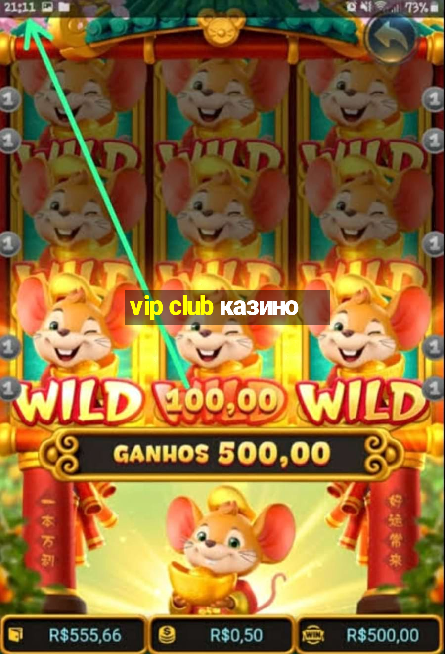 vip club казино