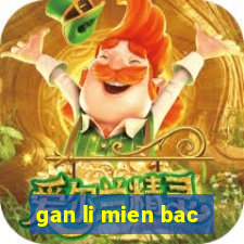 gan li mien bac