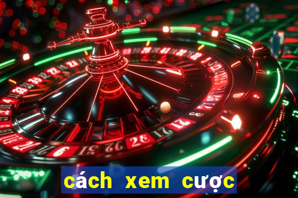 cách xem cược bóng đá