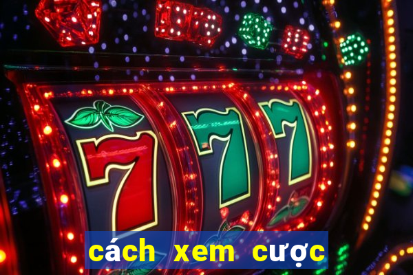 cách xem cược bóng đá