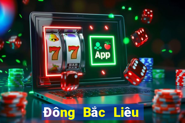 Đông Bắc Liêu Ninh Kuaisan