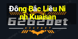 Đông Bắc Liêu Ninh Kuaisan