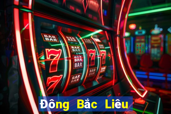 Đông Bắc Liêu Ninh Kuaisan