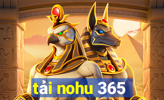 tải nohu 365