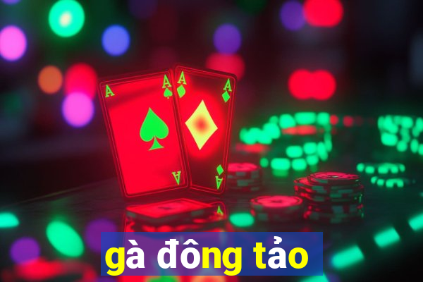 gà đông tảo