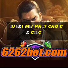 Ưu đãi mới nhất cho cá cược