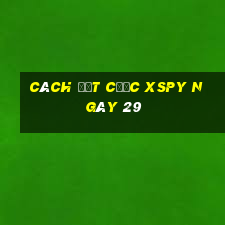 Cách đặt cược XSPY ngày 29