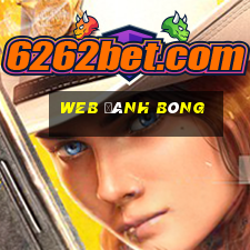 web đánh bóng