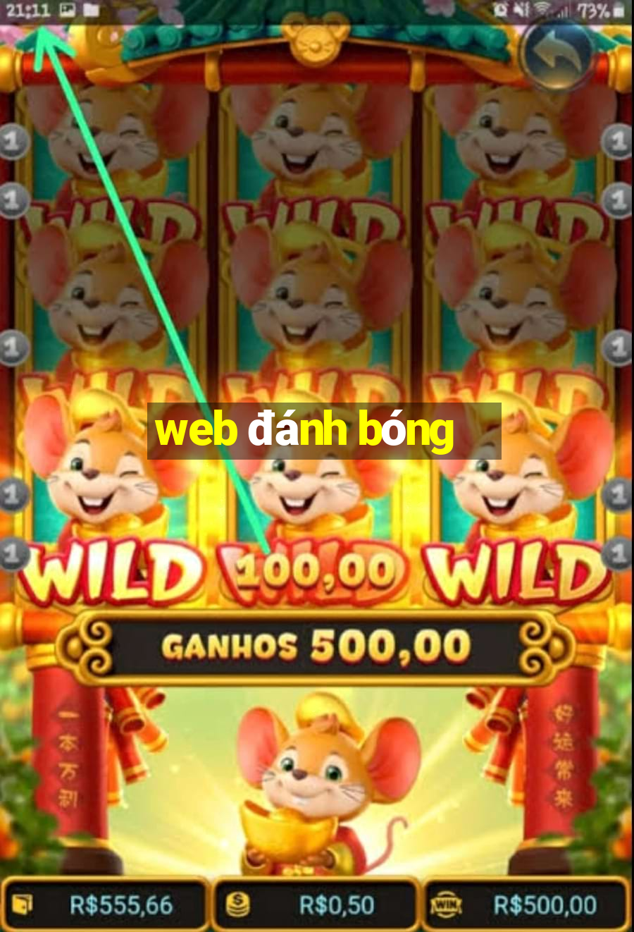 web đánh bóng