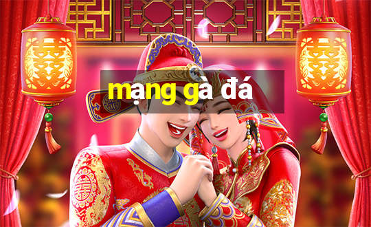 mạng gà đá