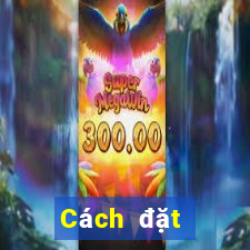 Cách đặt cược XSDNO ngày 8