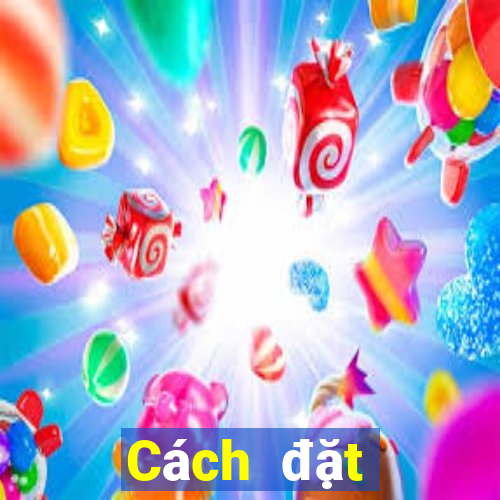 Cách đặt cược XSDNO ngày 8