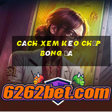 cách xem kèo chấp bóng đá