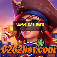 đánh bài web