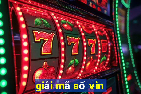 giải mã số vin