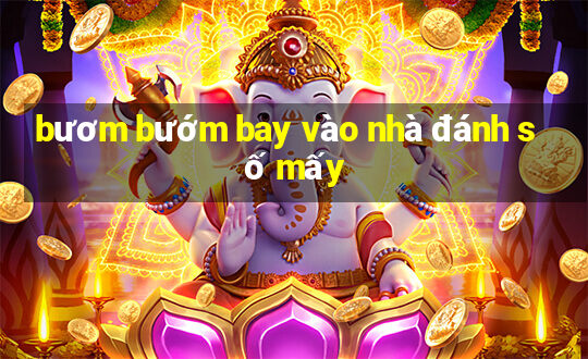 bươm bướm bay vào nhà đánh số mấy