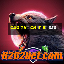 cao thủ chốt số 888