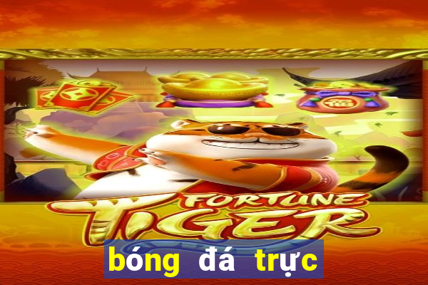 bóng đá trực tiếp cần thơ