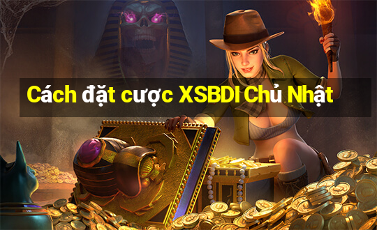 Cách đặt cược XSBDI Chủ Nhật