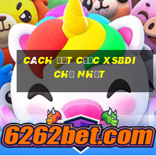 Cách đặt cược XSBDI Chủ Nhật