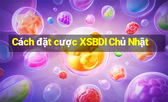 Cách đặt cược XSBDI Chủ Nhật