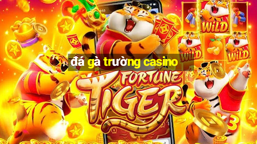 đá gà trường casino