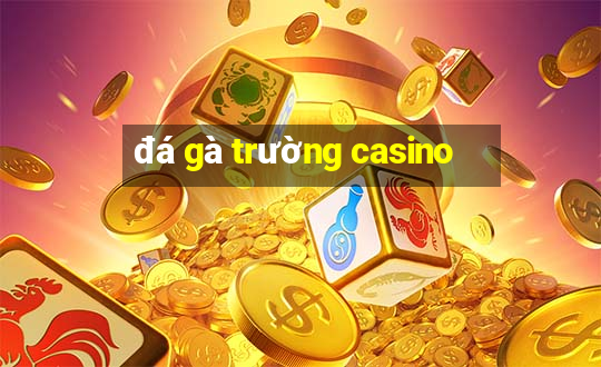 đá gà trường casino