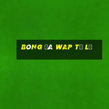 bóng đá wap tỷ lệ