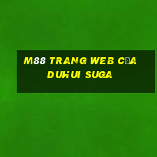 M88 Trang web của Duhui Suga