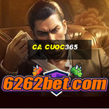 ca cuoc365