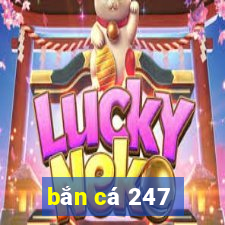 bắn cá 247