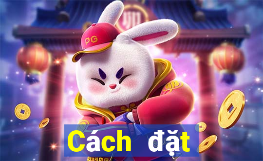 Cách đặt cược XSKT ngày 25