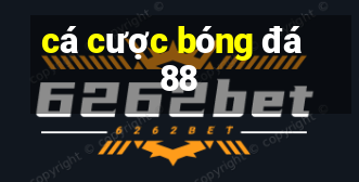 cá cược bóng đá 88