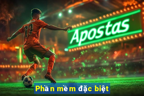 Phần mềm đặc biệt