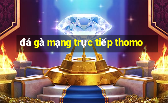 đá gà mạng trực tiếp thomo