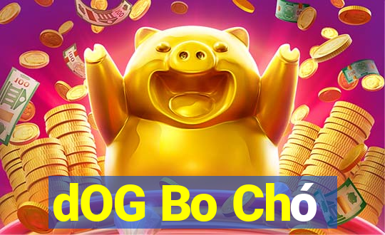 dOG Bo Chó