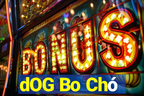 dOG Bo Chó