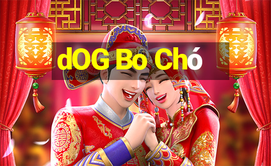 dOG Bo Chó