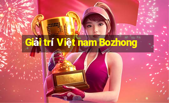 Giải trí Việt nam Bozhong