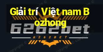 Giải trí Việt nam Bozhong