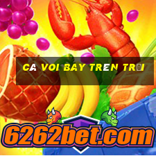 cá voi bay trên trời